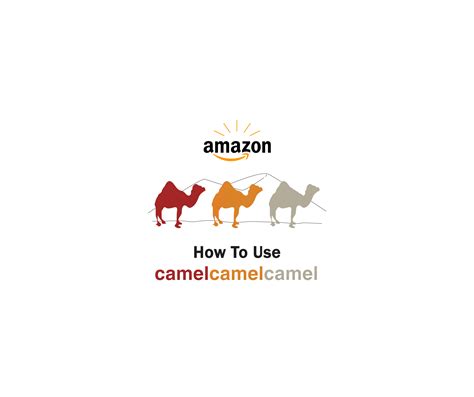 camel camle|How To Use Camelcamelcamel